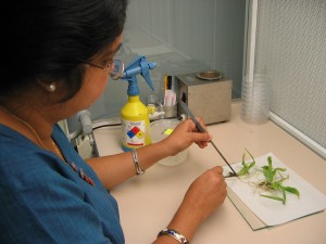 Tissue lab
